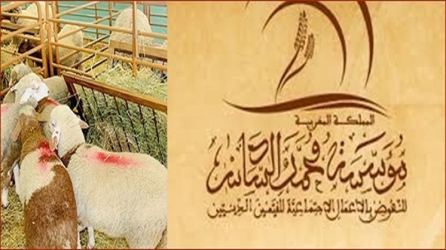 مؤسسة محمد السادس للقيمين الدينيين تصرف دعما استثنائيا لمنخرطيها بمناسبة عيد الأضحى المبارك