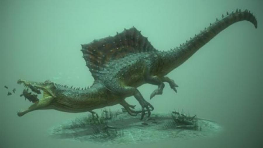 المغرب.. اكتشاف ديناصور مائي عملاق عاش قبل ملايين السنين
